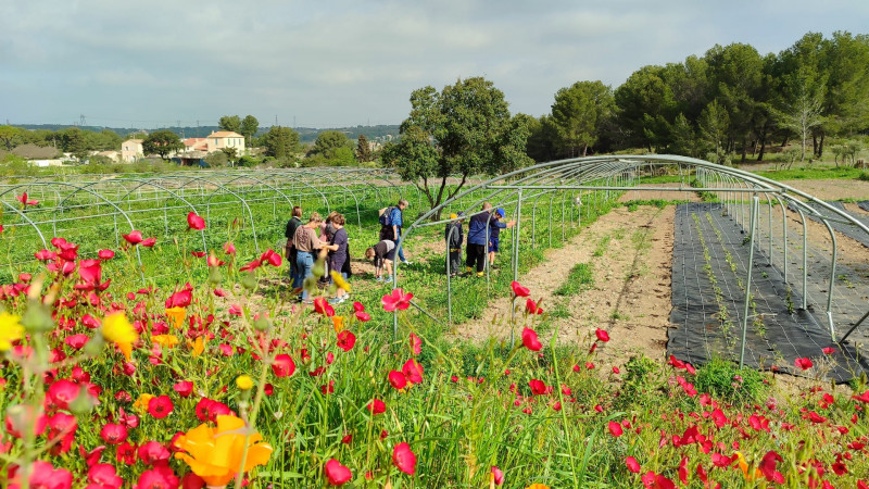 Un repas, un film, un débat à la ferme Aïoli Caganis_Martigues