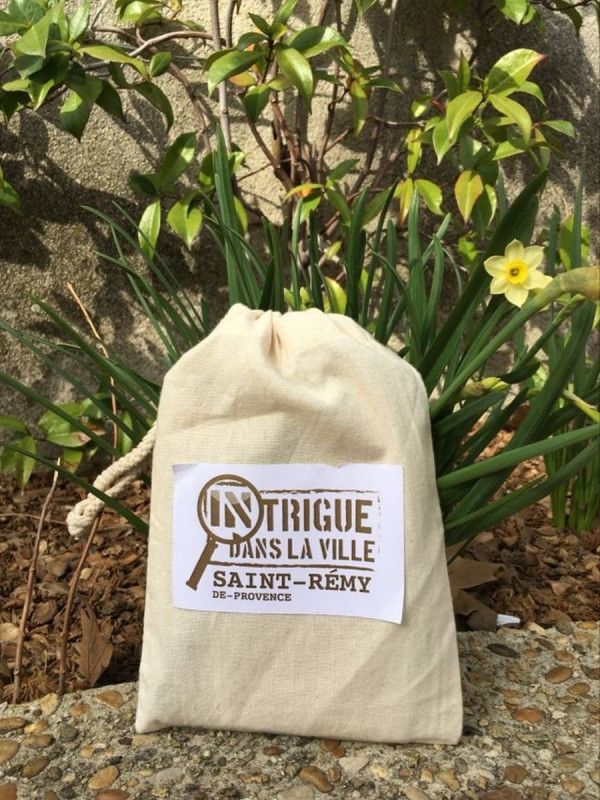 Intrigue dans la ville de Saint-Rémy-de-Provence