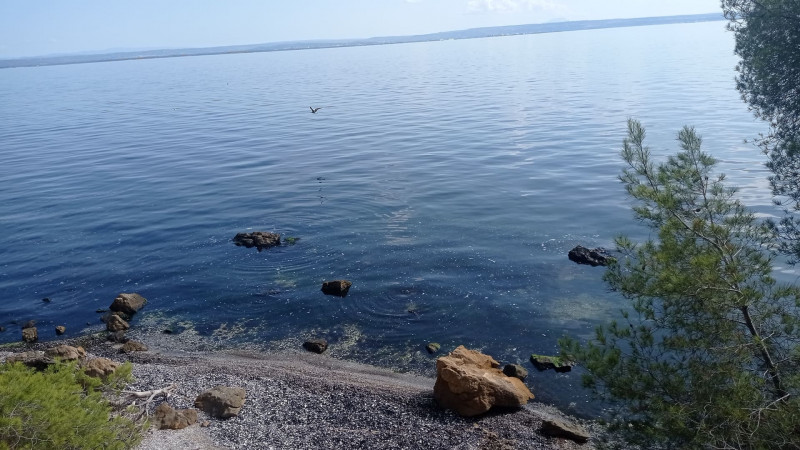 Discover the lake and Caronte (on foot)_Martigues