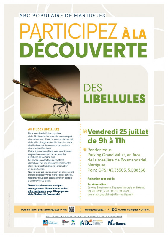 Discovering dragonflies_Martigues