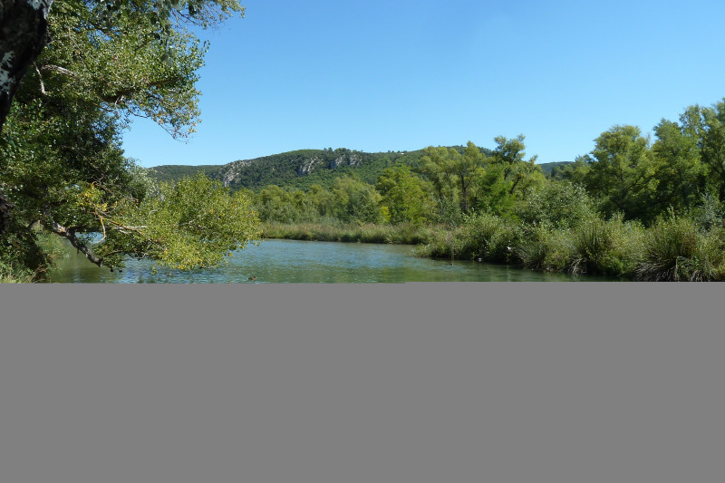 Balade nature : Verdon, portrait d'une rivière