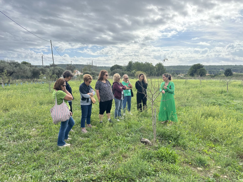Meditation and tasting in the heart of the almond grove_Martigues