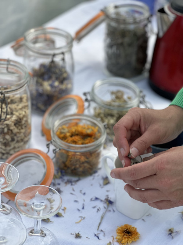 Meditation and tasting in the heart of the almond grove_Martigues