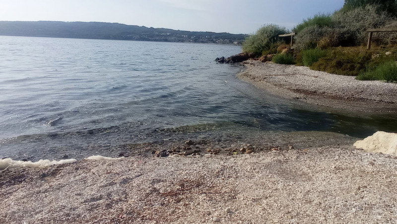 Eco balade autour de l'étang de Berre_Martigues