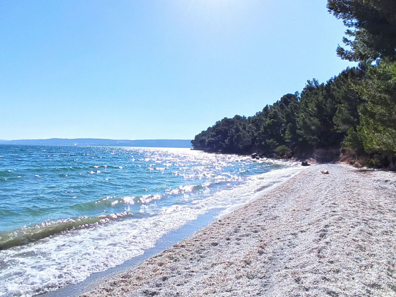 Workshop: My little sea_Martigues
