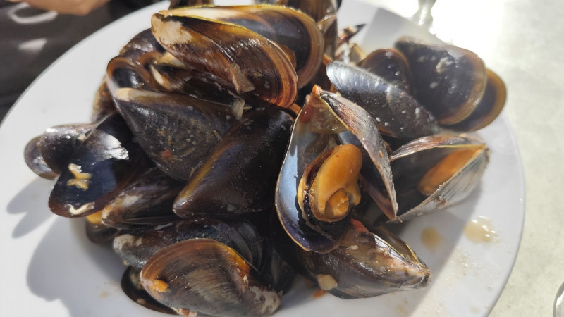 Moulade à Martigues_Martigues