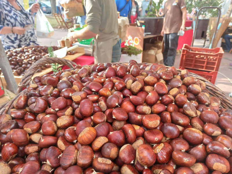 The Chestnut Festival in Martigues_Martigues