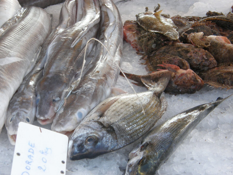 Marché aux poissons de Carro_Martigues