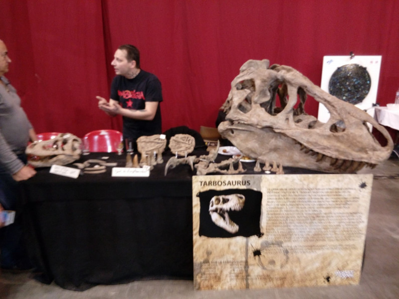 Salon international des minéraux de Martigues_Martigues