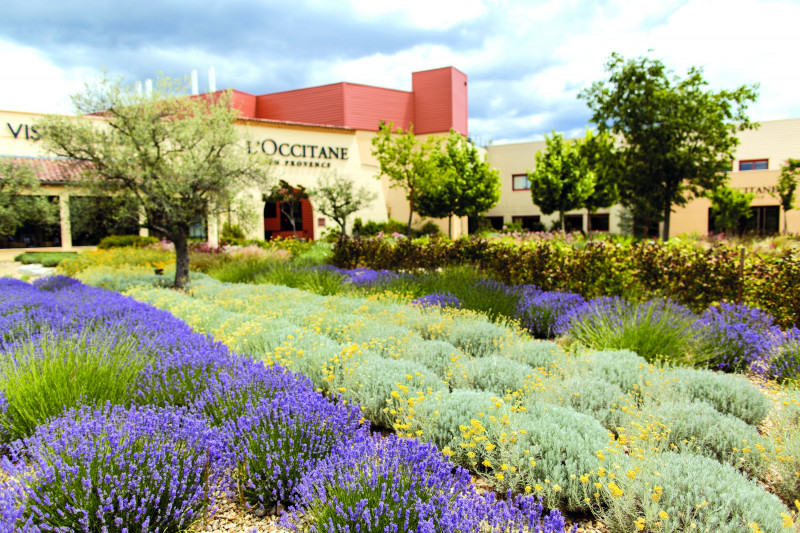 Jardin de L'Occitane en Provence