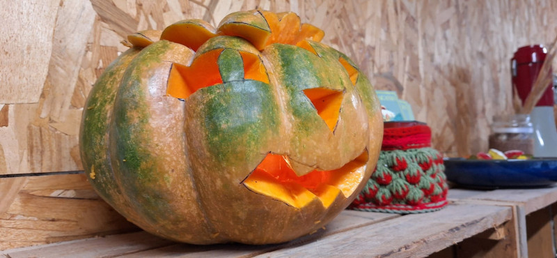 Atelier d'Halloween à la ferme Aïoli Caganis_Martigues