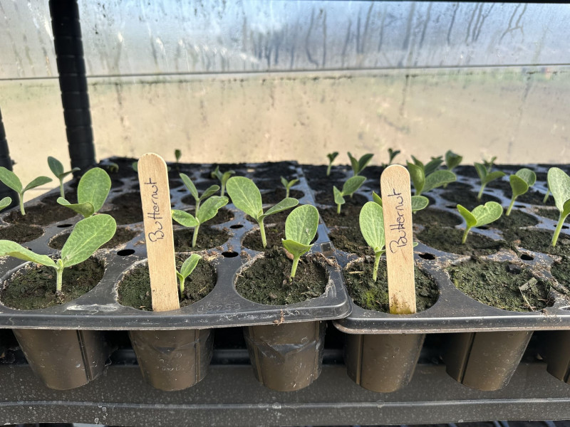 En harmonie avec la nature_Martigues