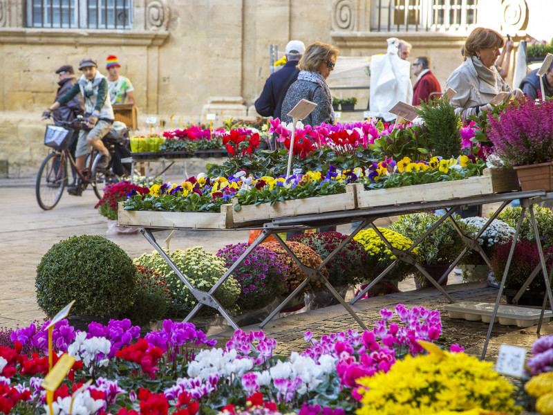 Der Blumenmarkt in Aix-en-Provence