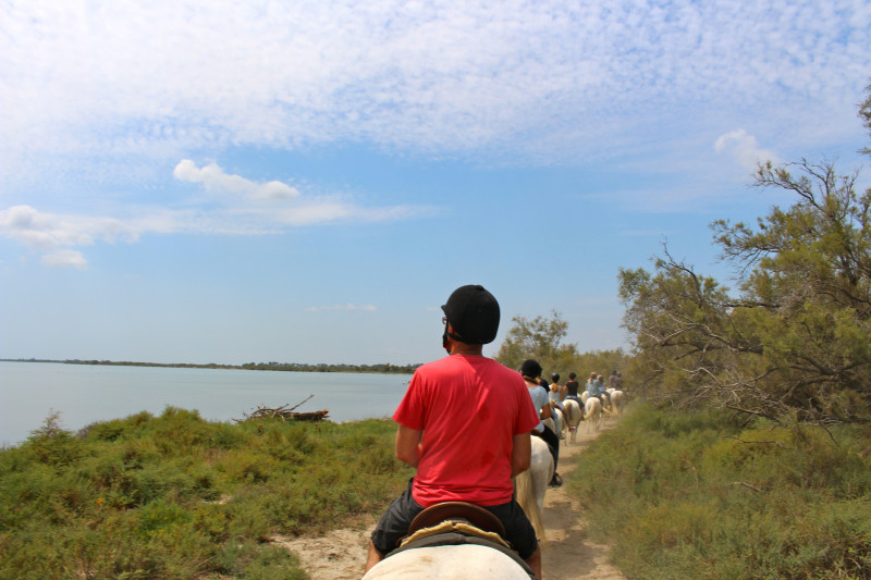 The Camargue on horseback to the domain of Méjanes