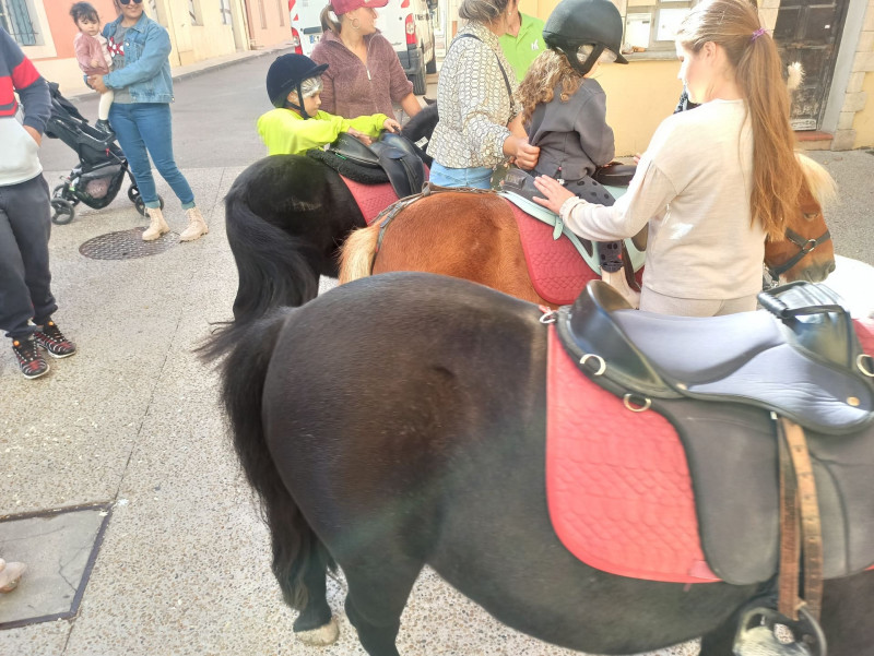 Paseos en poni en el centro de la ciudad_Martigues - © Otmartigues, Karim.K Paseos en poni en el centro de la ciudad_Martigues