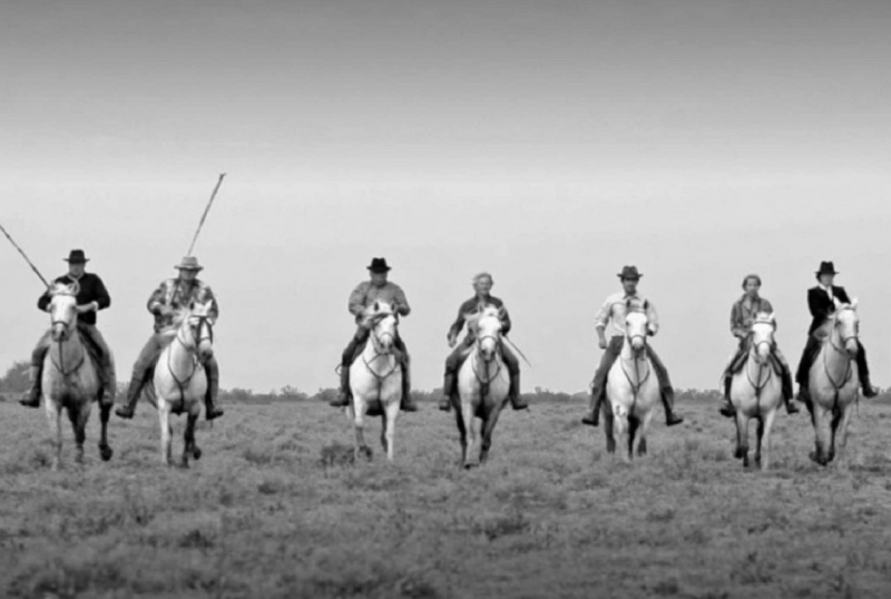 Horseback riding at the manade Saliérène