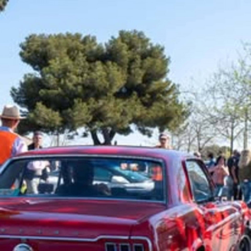 Concentración de vehículos antiguos y de prestigio_Martigues - © Nelly, comité des fêtes de la Couronne Concentración de vehículos antiguos y de prestigio_Martigues