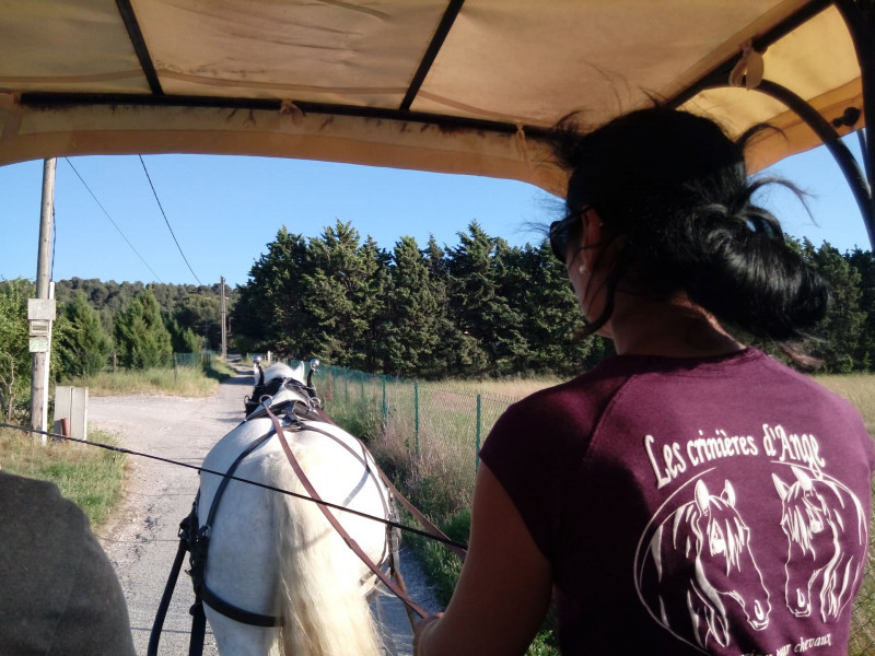 Balades en calèche_Martigues