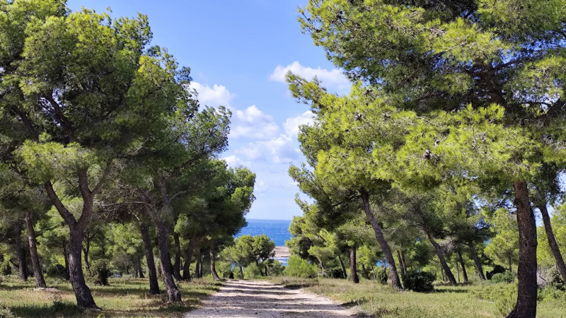 Paseo por la naturaleza y descubrimiento de restos militares