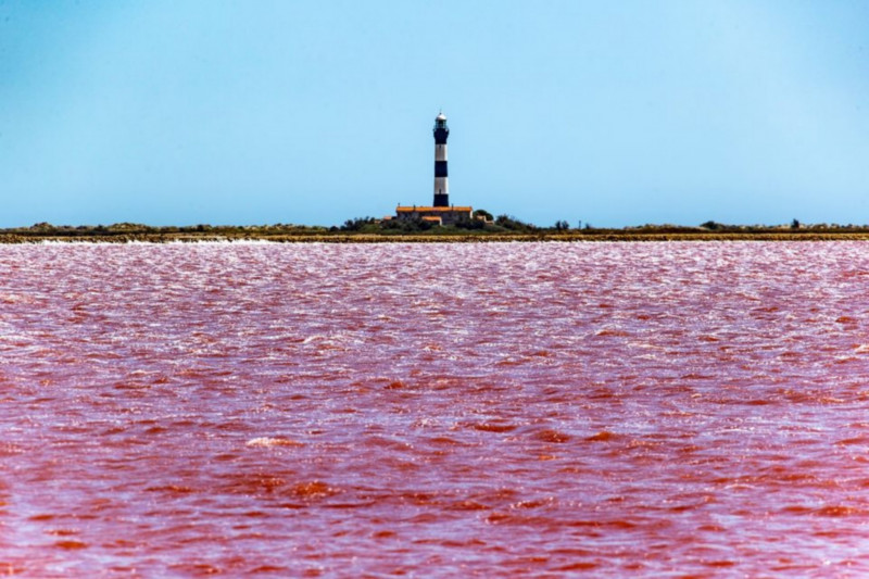 Balade à pied dans le salin