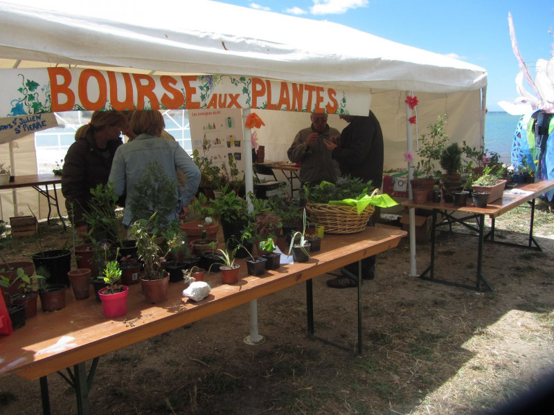 Fête des plantes aux Laurons - © Otmartigues / KarimK Fête des plantes aux Laurons