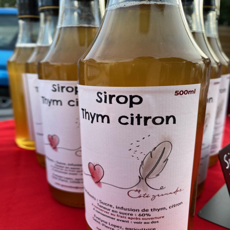 Aromatic herb planting workshop & introduction to agroforestry_Martigues