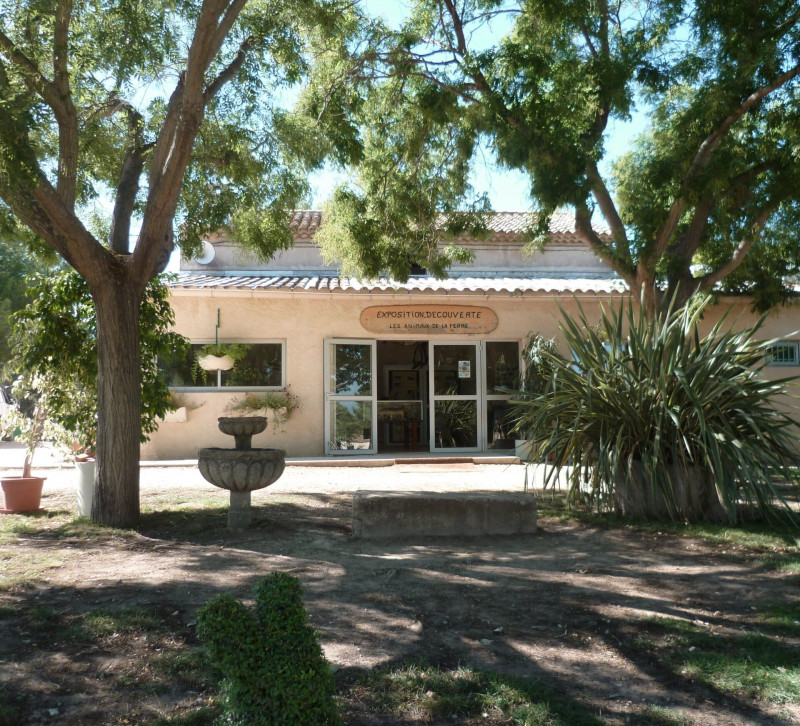 Descubra a los roedores en la granja educativa_Martigues