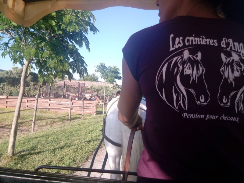 Carriage rides_Martigues