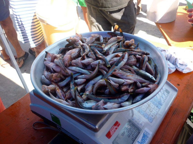 Journée pêche à Carro_Martigues