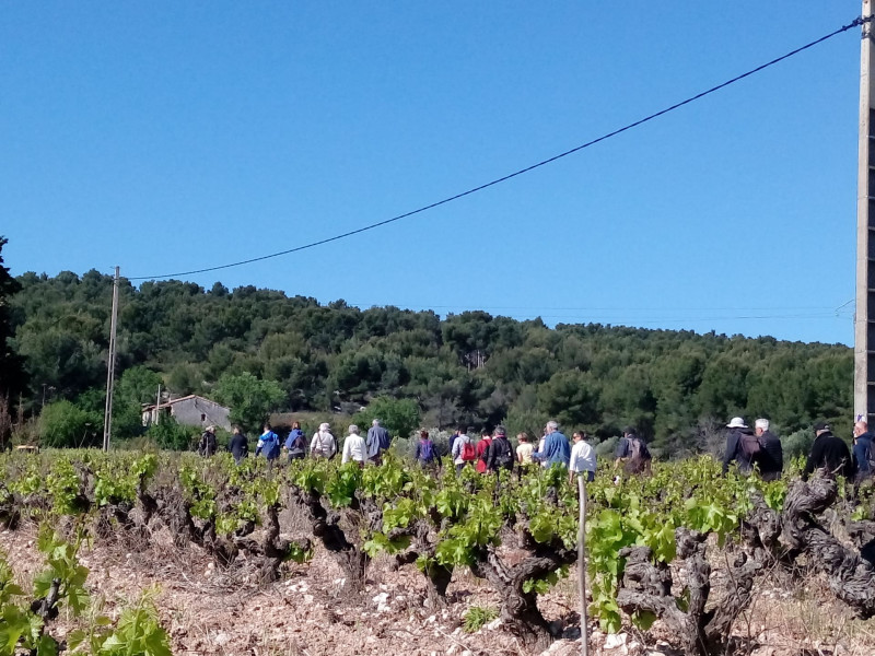 Fête de la vigne et du vin_Martigues