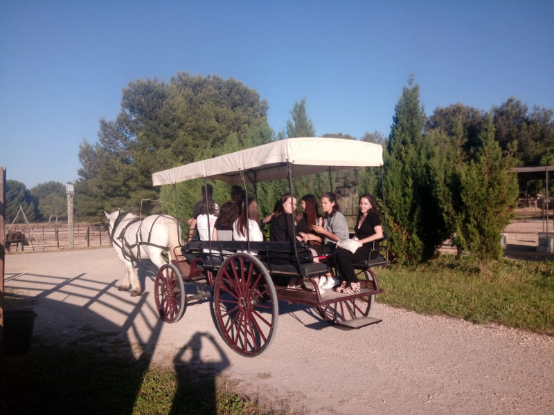Balades en calèche_Martigues