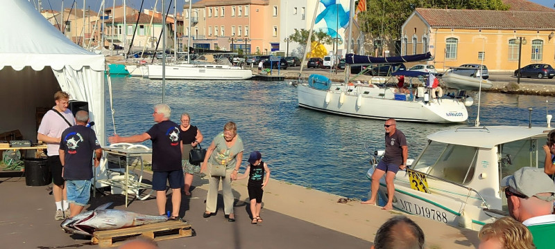 Semaine halieutique, championnat de pêche haute mer_Martigues - © Otmartigues / KarimK Semaine halieutique, championnat de pêche haute mer_Martigues