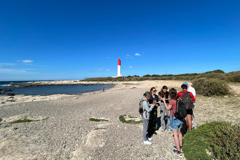 Balade plantes sauvages comestibles et médicinales du littoral_Martigues