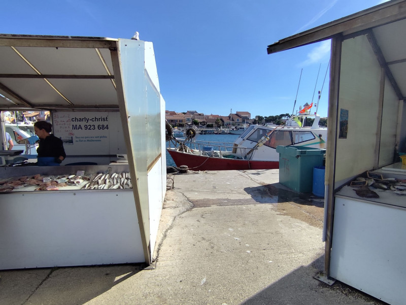 Mercado de pescado a Carro_Martigues