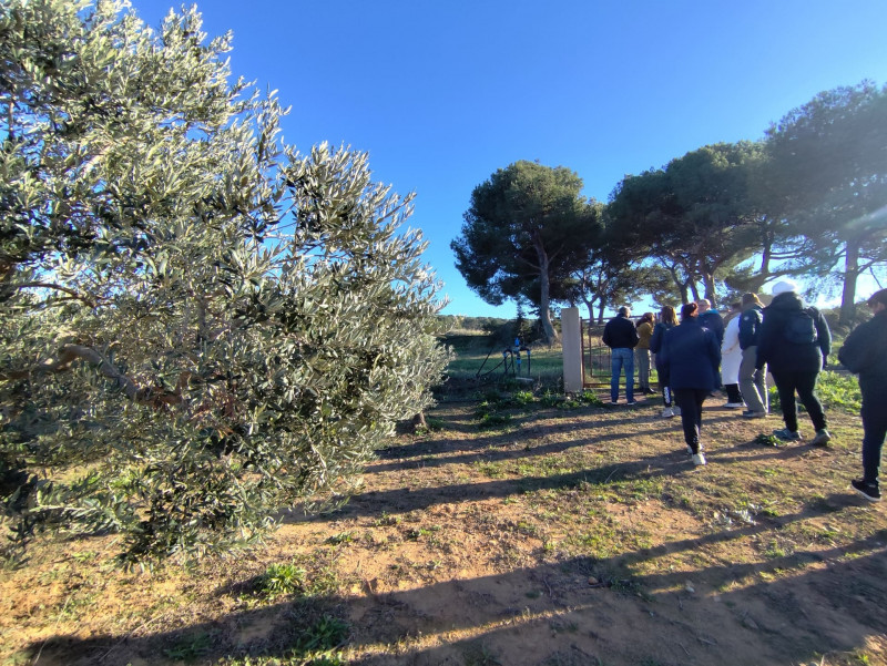 Encuentro con un olivarero en el Domaine Plan de Fossan_Martigues - © Otmartigues / MyriamF Encuentro con un olivarero en el Domaine Plan de Fossan_Martigues