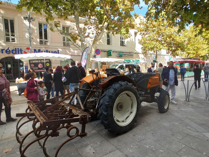 Martigues celebra su terruño - © Otmartigues, Karim.K Martigues celebra su terruño
