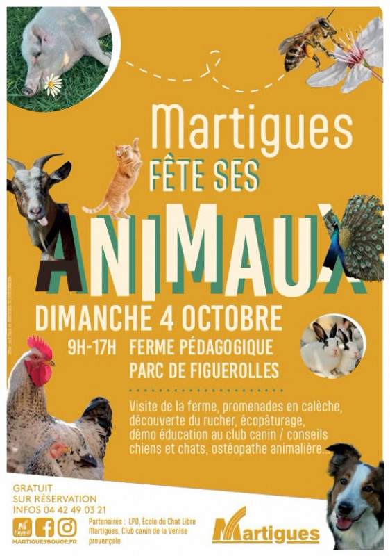 Martigues fête ses animaux_Martigues