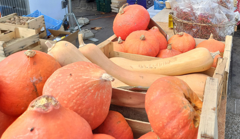 Kürbisfest in Martigues_Martigues