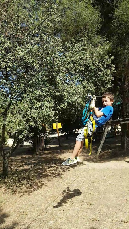 Tree climbing at the Grand Parc de Figuerolles