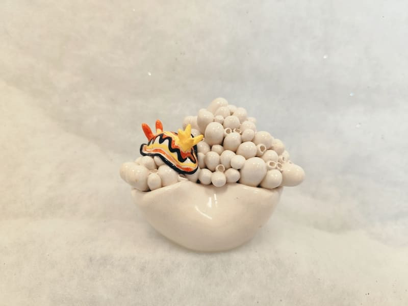 AD10 - Coral with its nudibranch