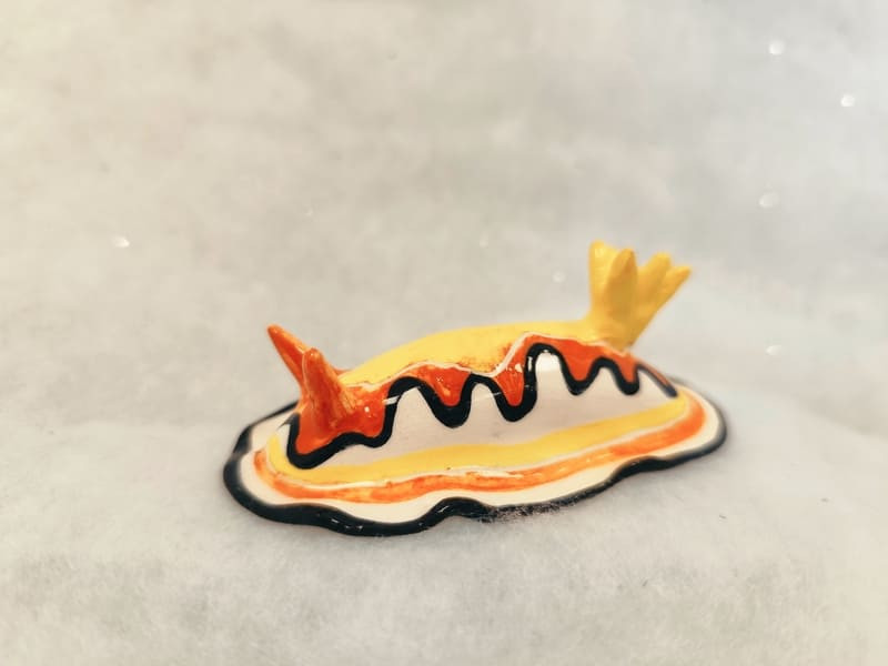 AD12 - nudibranch
