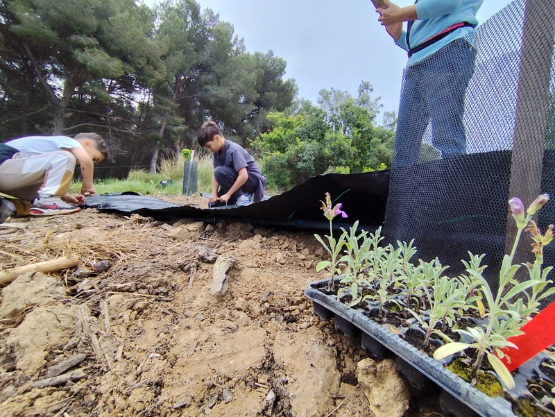 Atelier agroforesterie et saveurs du terroir à Saint-Julien-les-Martigues