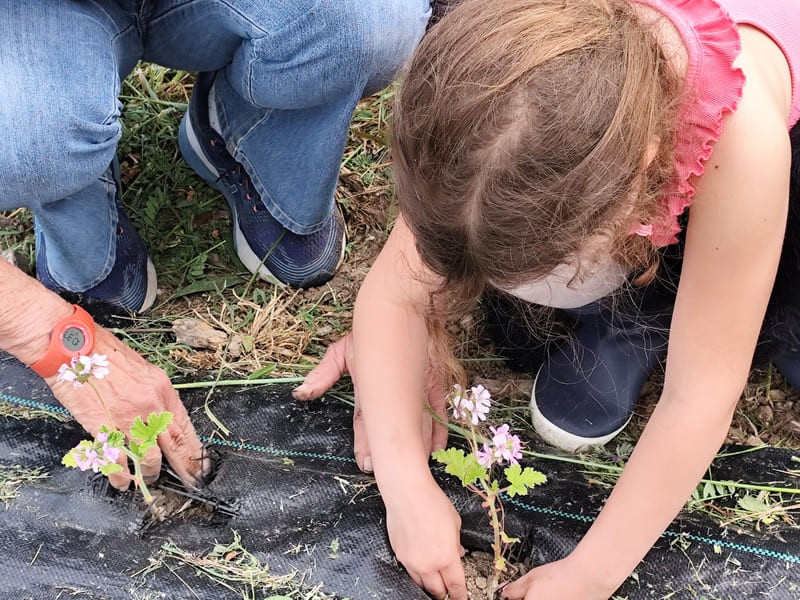 Conectar con la naturaleza durante un taller de plantación de flores y árboles frutales en Martigues. Visita ofrecida por la Oficina de Turismo de Martigues.