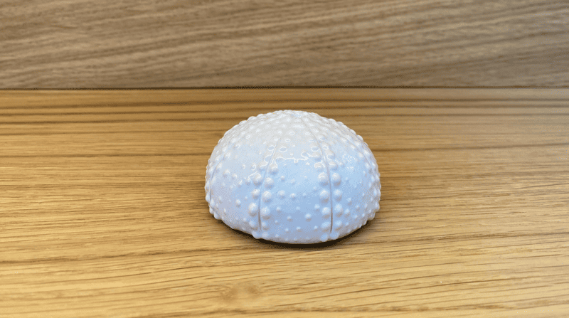 Atelier Do – Stachelloser Seeigel