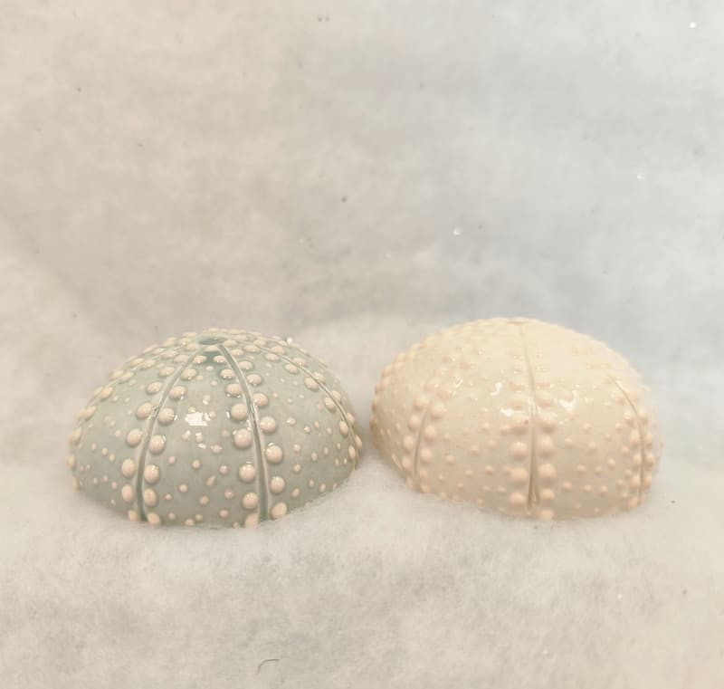 Atelier Do - Spineless Sea Urchin