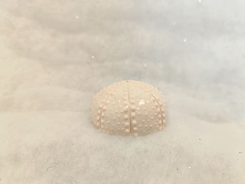 Oursin blanc sans pique avec des points blancs et façonné à la main avec des rayures. L'oursin est posé sur une étagère en bois. Création unique d'Atelier Do de Carry-le-Rouet
