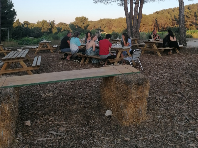 Gente sentada de espaldas en mesas de picnic en el centro de la granja. El suelo está cubierto de hojas, rodeado de árboles. El cielo es azul y brillante.