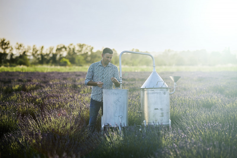 Expérience sensorielle aux côtés d'un producteur de plantes à parfum et visite de Nîmes