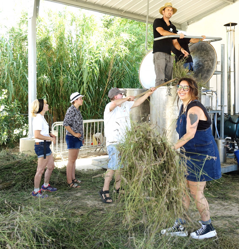 Expérience sensorielle aux côtés d'un producteur de plantes à parfum et visite de Nîmes