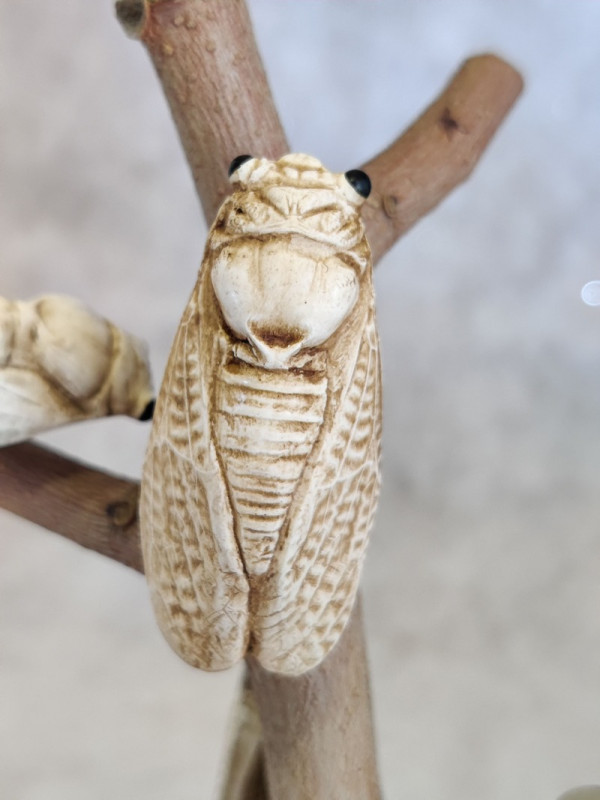Magnet artisanal de cigale vu de dos, montrant le détail fin des ailes